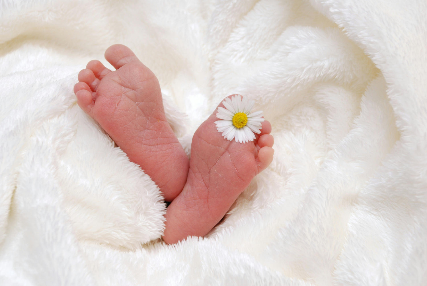 Newborn baby feet on a soft, fluffy white blanket with a daisy, cozy swaddles and blankets for babies, perfect for warmth and comfort, essential baby bedding collection.