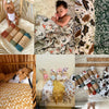 Kangobaby All Season 100% Cotton Muslin Blanket